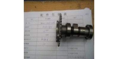 Вал распределительный в сборе