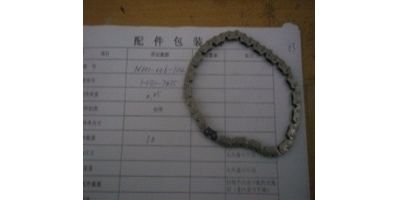 Цепь масляного насоса