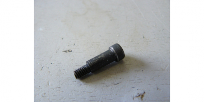 Винт специальный