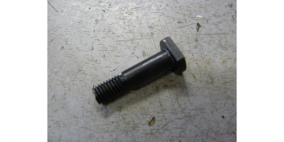 Винт специальный