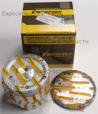 Поршень комплект