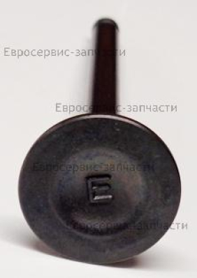 Клапан выпускной F8,F9.8BMS